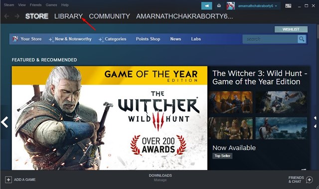 Πώς να διορθώσετε το σφάλμα 41 στο Steam 13 Βιβλιοθήκη