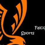Πώς να κατεβάσετε το Falcon Sports Kodi Addon