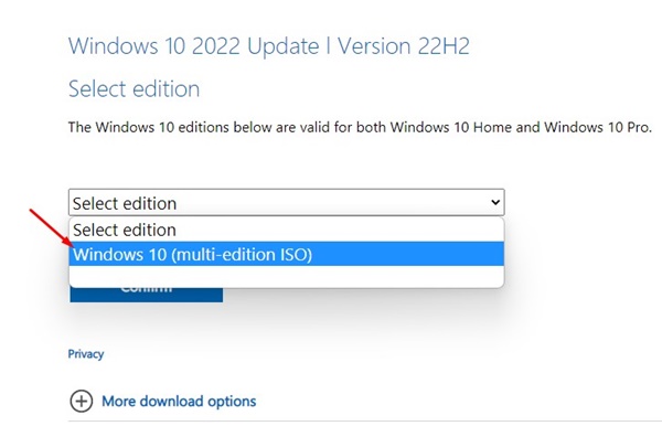 Windows 10 (ISO πολλαπλών εκδόσεων)