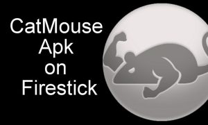 CatMouse Apk