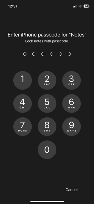 enter the iPhone passcode