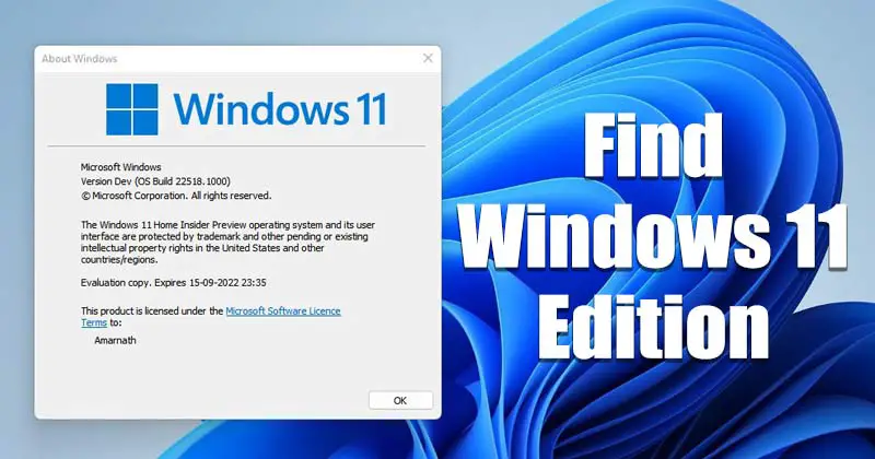 Πώς να ελέγξετε την έκδοση των Windows 11 (6 Μέθοδοι)