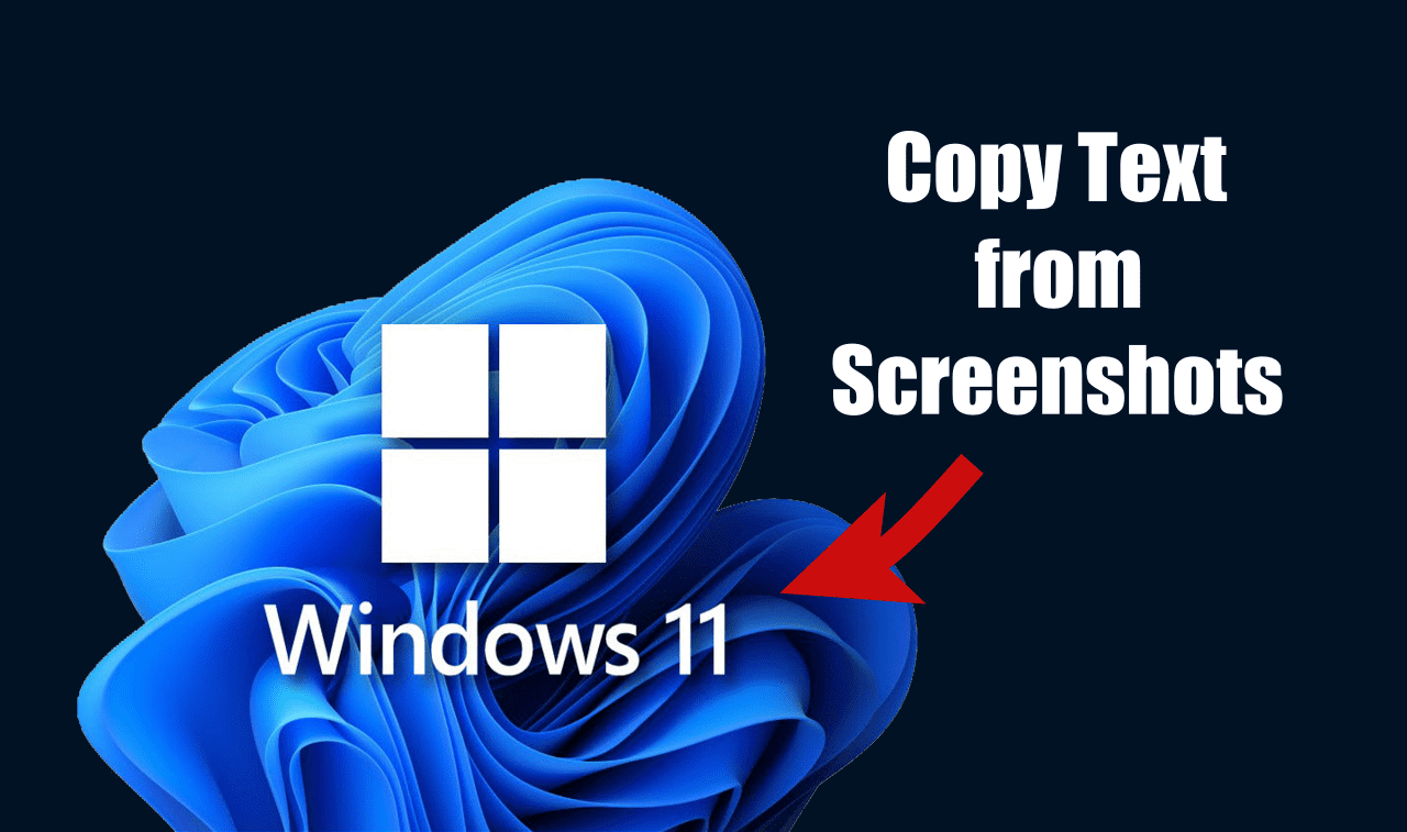Πώς να αντιγράψετε κείμενο από στιγμιότυπα οθόνης στα Windows 11 (3 Μέθοδοι)