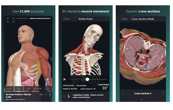 Πλήρες Anatomy 19 για Android