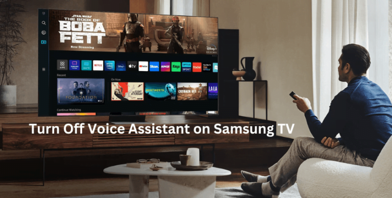 Voice Assistant σε Samsung Smart T