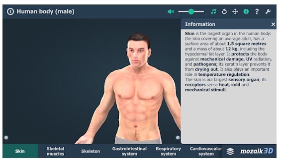 Ανθρώπινο σώμα (ανδρικό) Εκπαιδευτικό VR 3D 1
