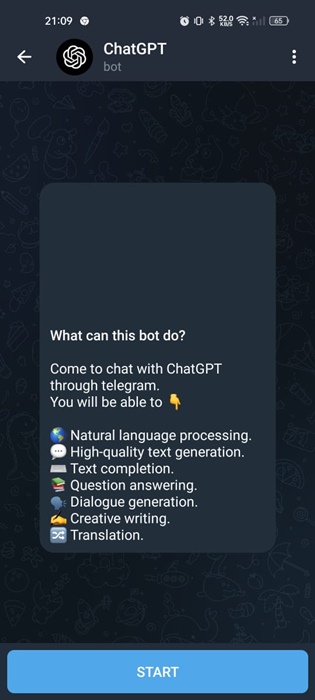 ChatGPT Plus Bot