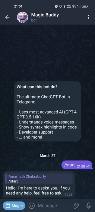 chatbot Magic Buddy AI