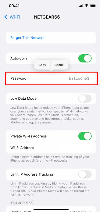 Κάντε κλικ στο Password για να βρείτε τον κωδικό πρόσβασης Wi-Fi στο iPhone