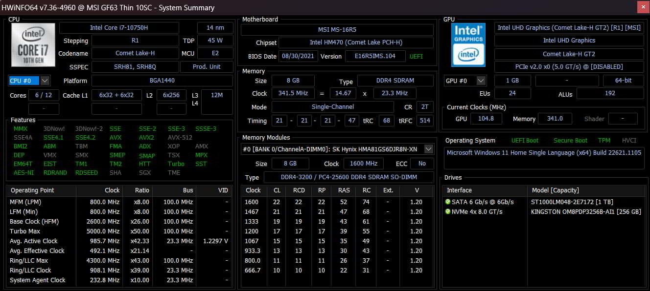 HWINFO RUN-1