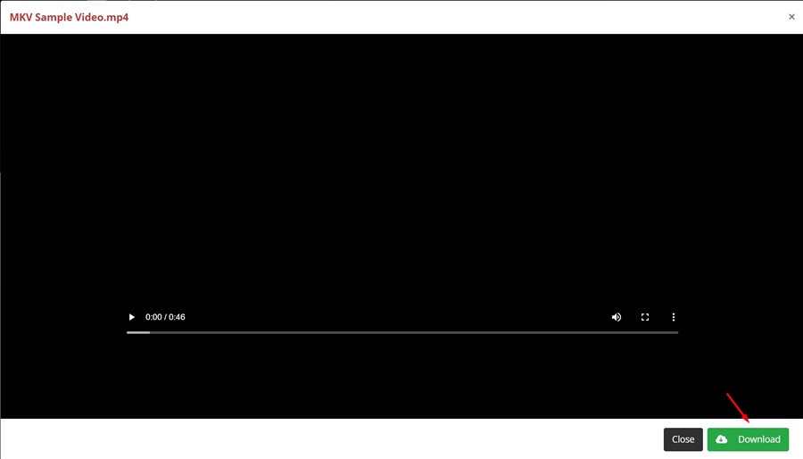MKV σε MP4