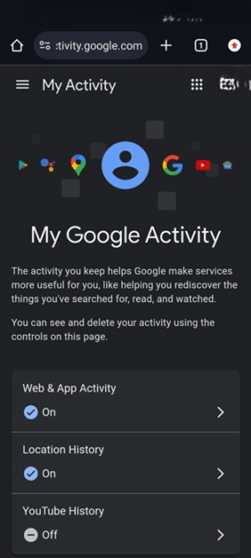 Μπορεί κάποιος να δει τι ψάχνω στην Google;