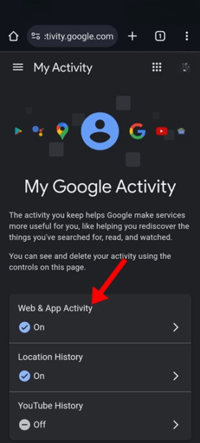 Μπορεί κάποιος να δει τι ψάχνω στην Google;