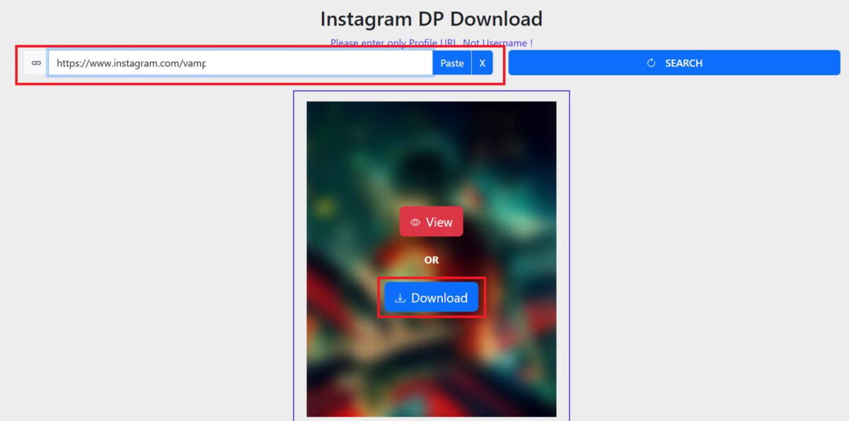 Πώς να χρησιμοποιείτε το Instagram PFP Downloader
