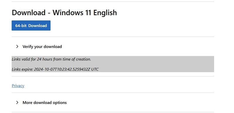Λήψη αρχείων ISO 24H2 των Windows 11 (Όλες οι μέθοδοι) 6 Λήψη τώρα