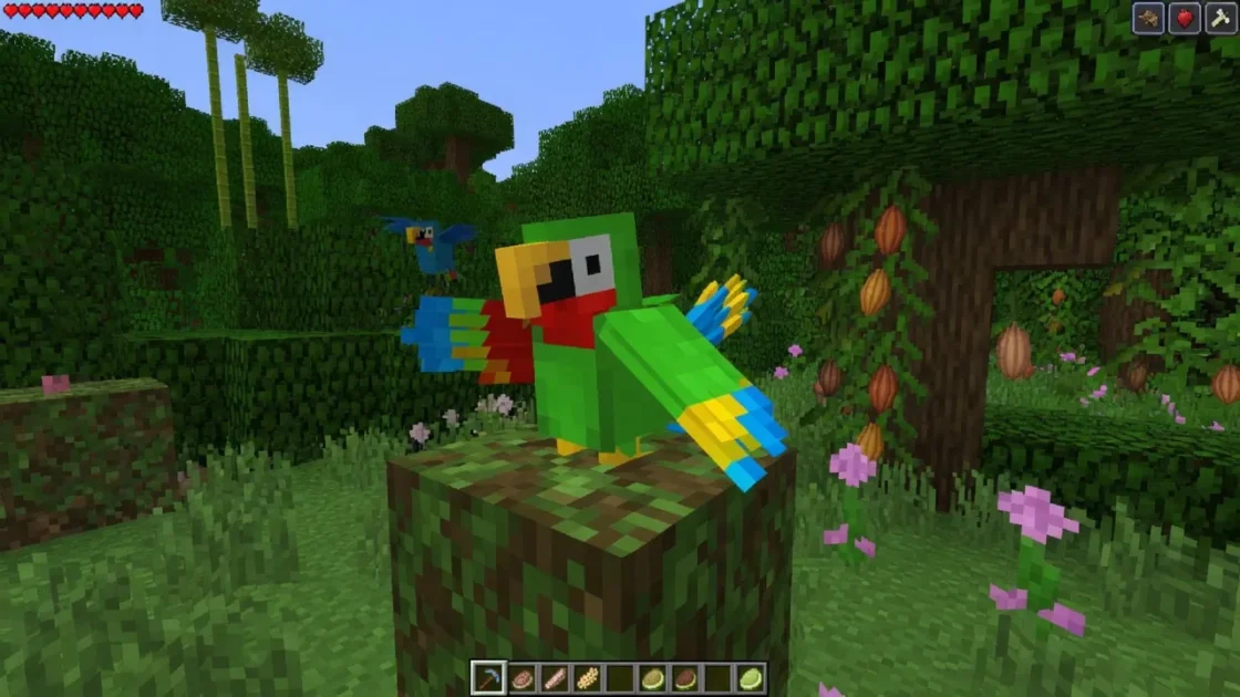 Πώς να αποκτήσετε έναν παπαγάλο στο Minecraft και να κατακτήσετε τα πάντα για αυτό το κατοικίδιο 3 παπαγάλο στο Minecraft